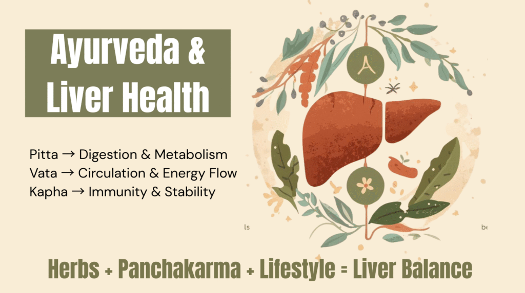 illustration showing Herbs + Panchakarma + Lifestyle = Liver Balance