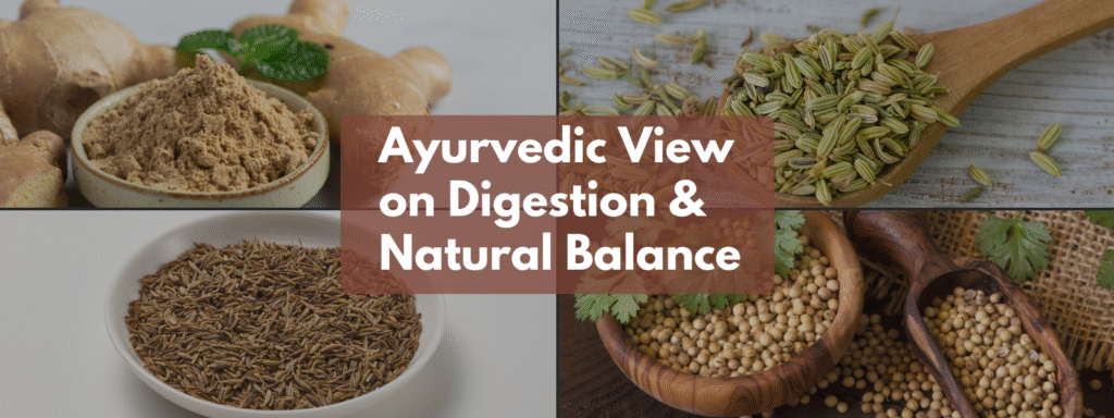 Illustration of symbol of herbs like ginger, cumin, fennel, and coriander