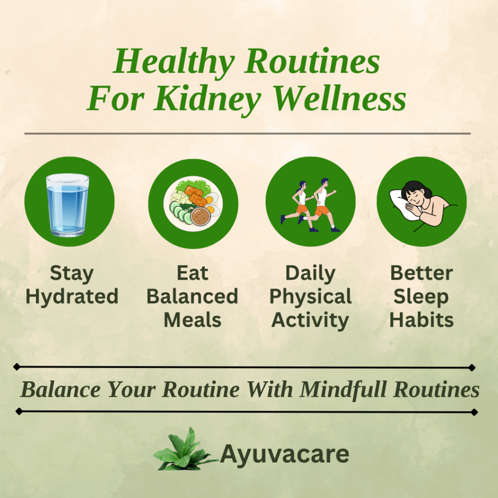Healthy Routines for kidney Wellness