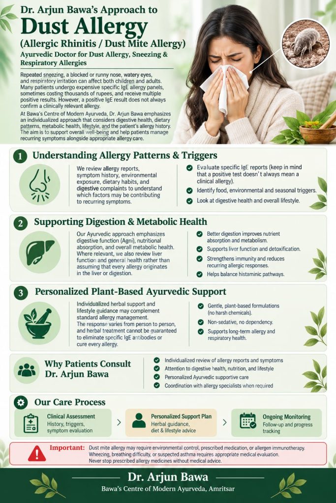Ayurvedic Treatment for Dust Allergy